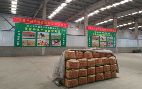 北京八里橋批發市場設公益銷售專區 推進優質農產品進京
