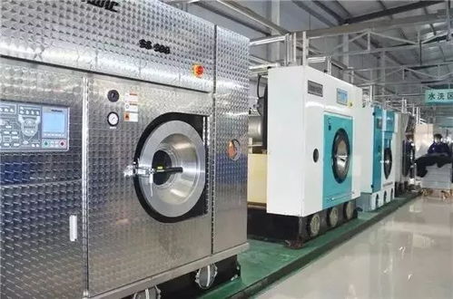 走進三毛洗衣工廠,了解洗衣常識